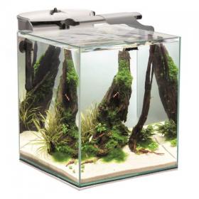 Aquael Nano Reef Duo - Mini Acquario Marino cm35x35x40h con Filtro e Illuminazione LED