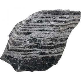 Whimar Black and White Rock Foto Reale 0,84kg cm14x10x5 cod.BW01