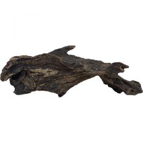 Decorline Driftwood Misura cm21x7x7 Foto Reale cod.DW10