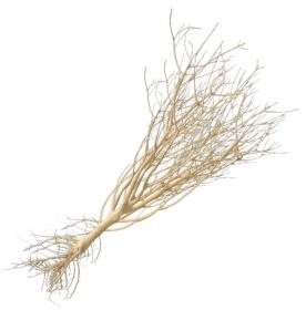 DecorLine Legno Mini Root 20-40cm