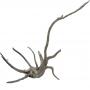 Decorline Spider Wood cm18x17x7 Real Photo cod.SP03