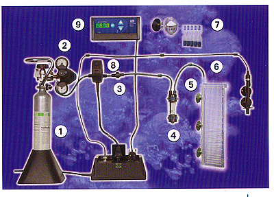 L'immagine “https://www.aquariumline.com/img/catalog/images/schema_phcontroller_dennerle.jpg” non può essere visualizzata poiché contiene degli errori.